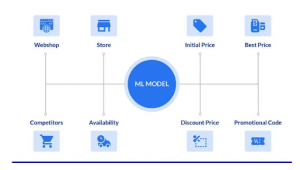 Factors considered by dynamic pricing algorithm
